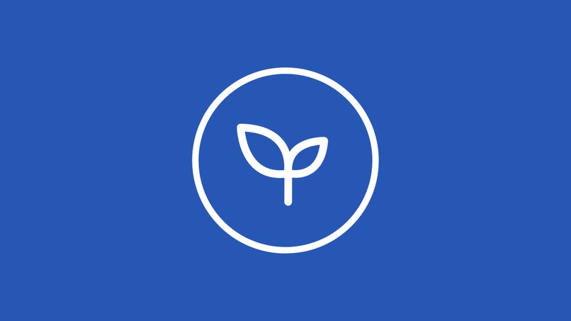 Roots – screenshot 1
