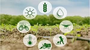 Cultivate knowledge, Harvest Change – screenshot 1