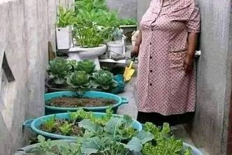 Cultivate Knowledge,Harvest Change 