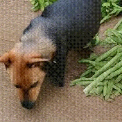 CreativeAide – screenshot 8