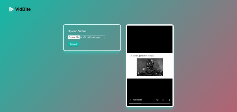VidBite – screenshot 1
