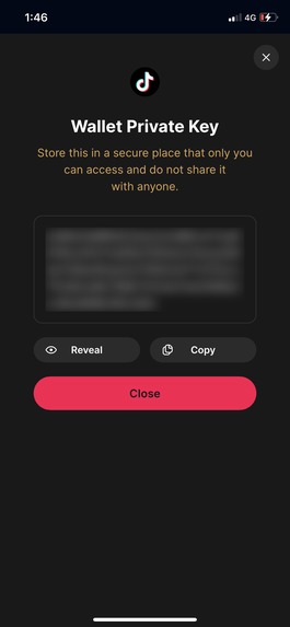 ByteSecure – screenshot 12