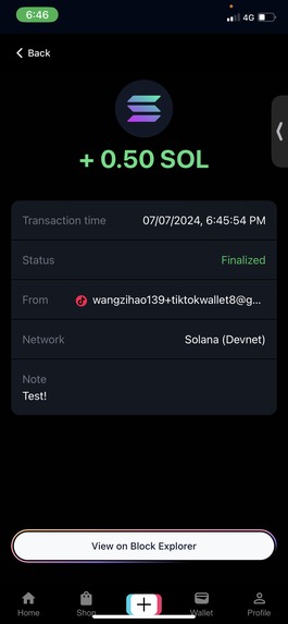 ByteSecure – screenshot 8