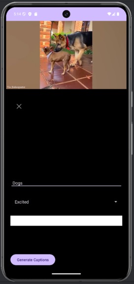 CaptionMasterAI – screenshot 5