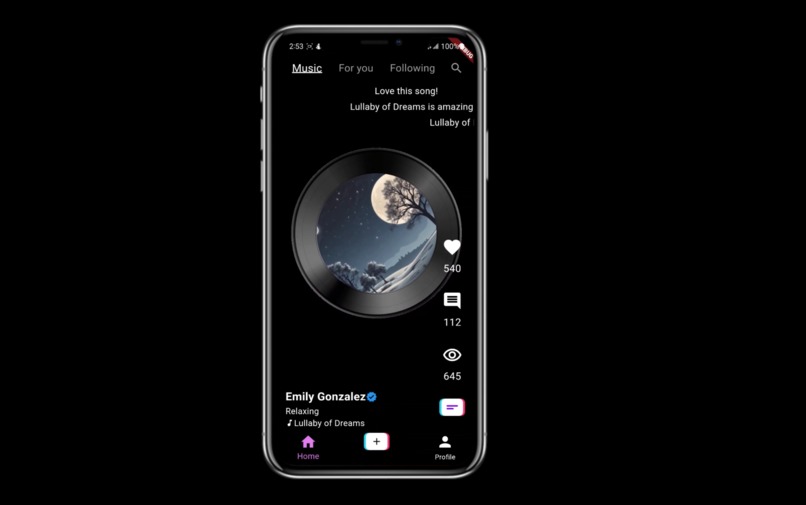 TikTune – screenshot 2