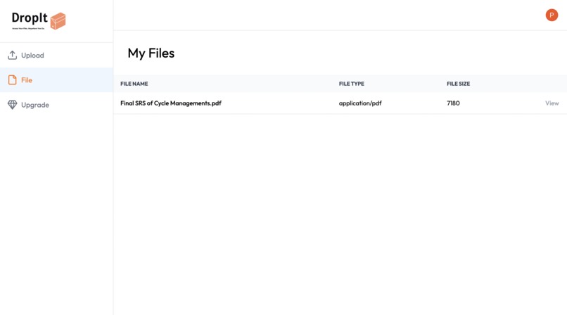 DropIt – screenshot 4