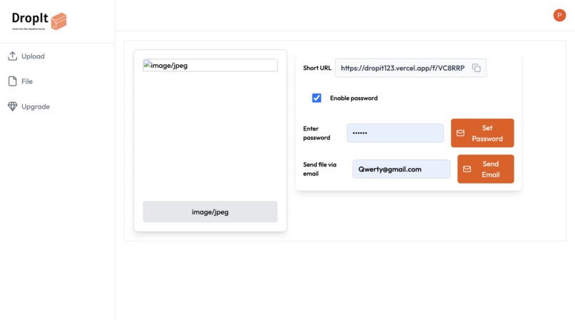 DropIt – screenshot 6