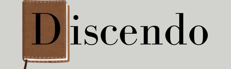 Discendo (Team Error404) – screenshot 1