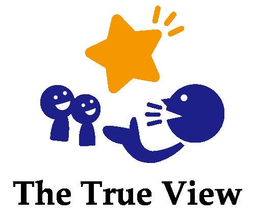 The True View – screenshot 1