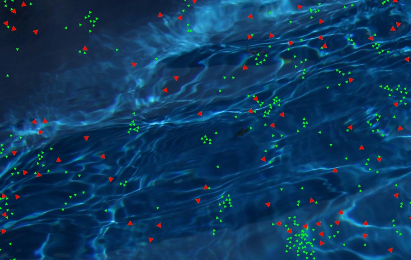 Boyd-simulator – screenshot 1