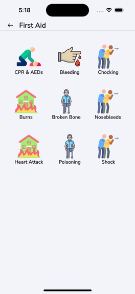 Laerdal Express – screenshot 8