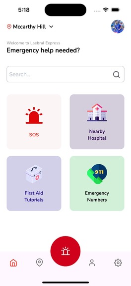 Laerdal Express – screenshot 5