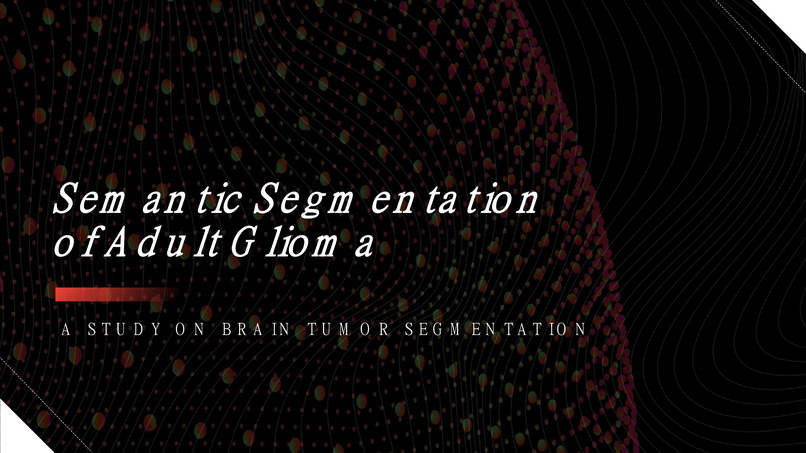 Automatic Efficient Segmentation of Adult Glioma Tumor – screenshot 1