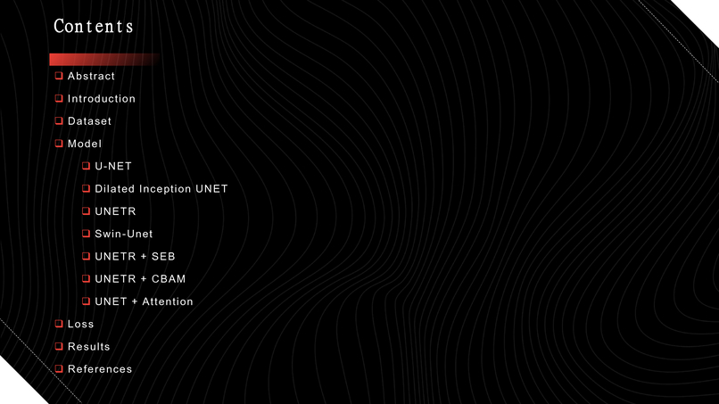 Automatic Efficient Segmentation of Adult Glioma Tumor – screenshot 2