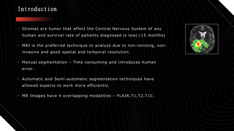 Automatic Efficient Segmentation of Adult Glioma Tumor – screenshot 3