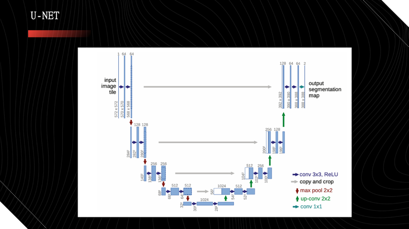 Automatic Efficient Segmentation of Adult Glioma Tumor – screenshot 8