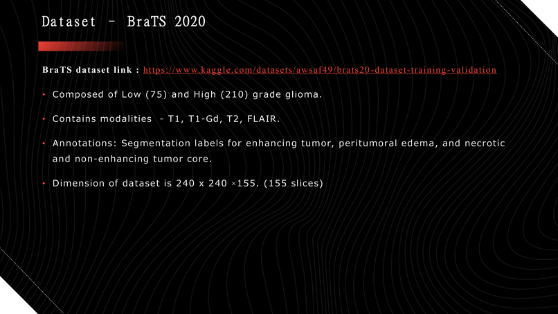 Automatic Efficient Segmentation of Adult Glioma Tumor – screenshot 5