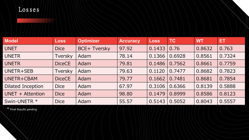 Automatic Efficient Segmentation of Adult Glioma Tumor – screenshot 17