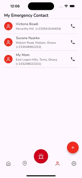 Laerdal Express – screenshot 10