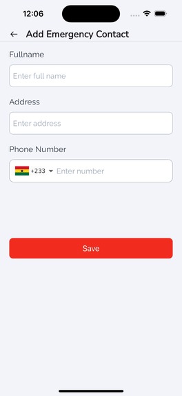 Laerdal Express – screenshot 11