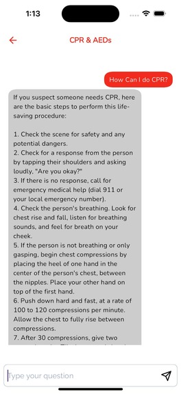 Laerdal Express – screenshot 9