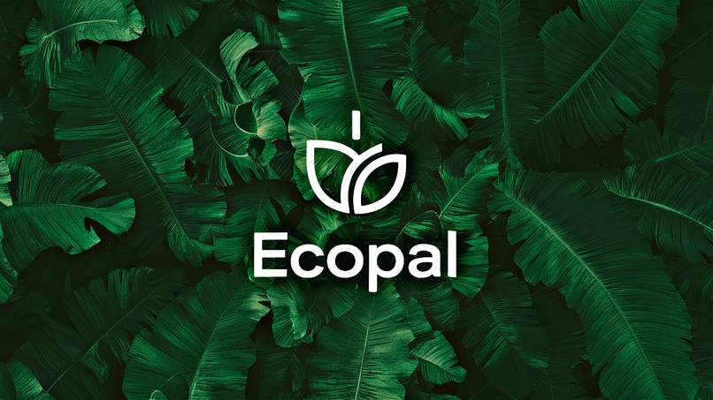 EcoPal – screenshot 1
