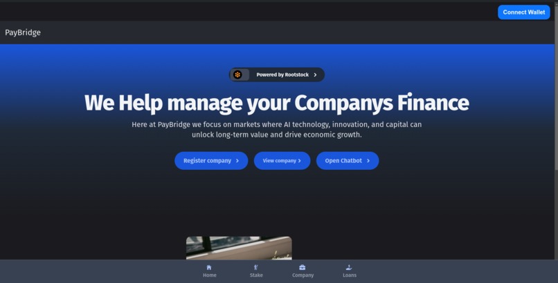 PayBridge – screenshot 2