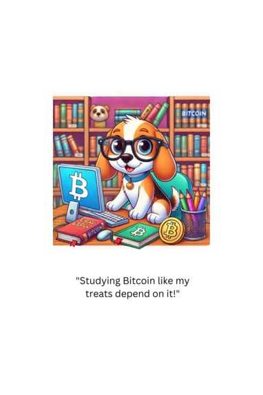 Bella & Bitcoin: The Bitcoin Show – screenshot 2