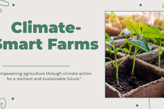 "Climate-Smart Farms."