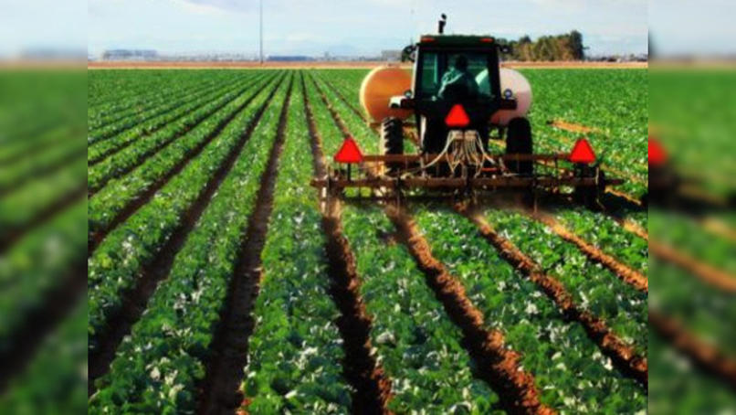 My project is called EcoAgric Tech. – screenshot 4