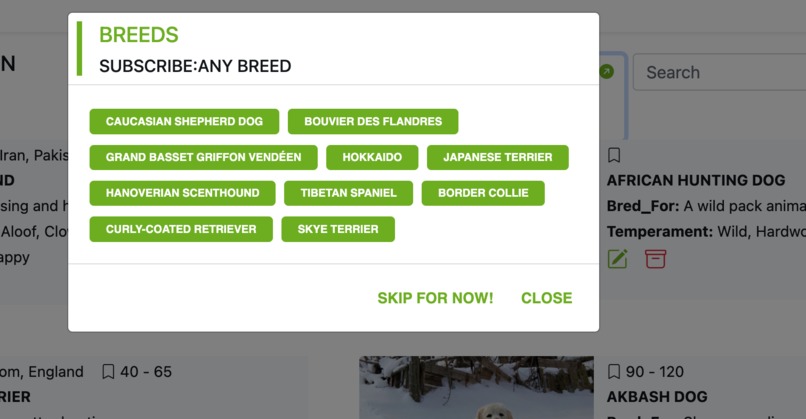 HomeForArfs – screenshot 5
