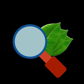 Geo Lens – screenshot 1