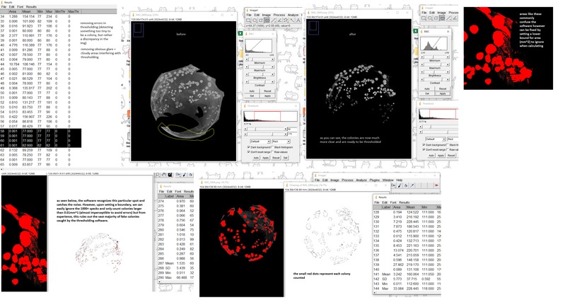 TSF2024 – screenshot 2