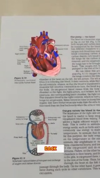 AI & AR Learning: Personalized, Immersive, and Engaging – screenshot 10