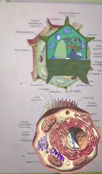 AI & AR Learning: Personalized, Immersive, and Engaging – screenshot 12