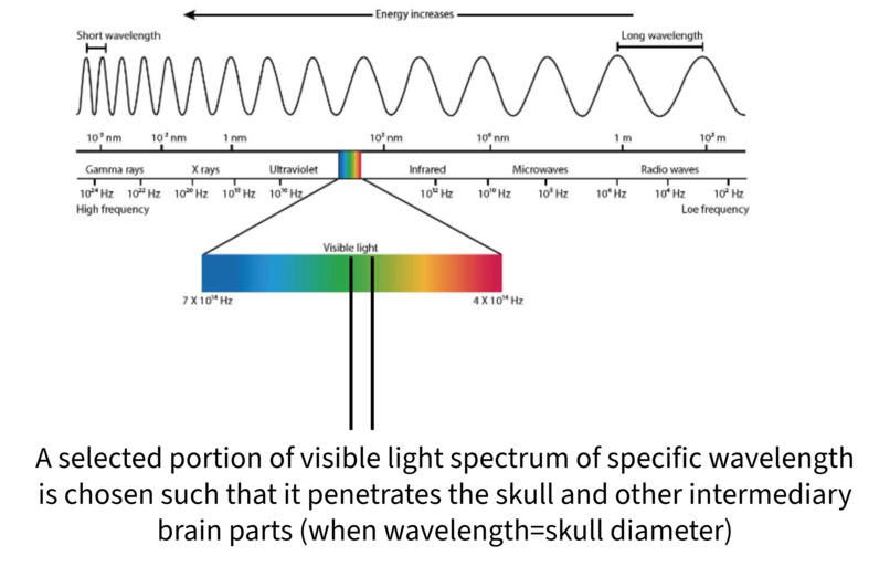 Parkinson's disease Predictor – screenshot 2