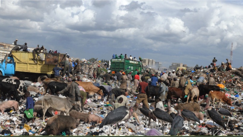 ECOcycle *recyle and reward* – screenshot 2