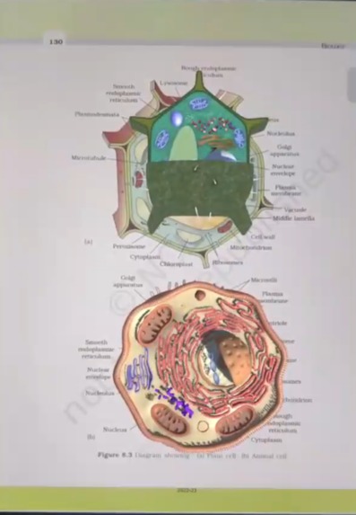 "AI & AR Learning: Personalized, Immersive, and Engaging"  – screenshot 10