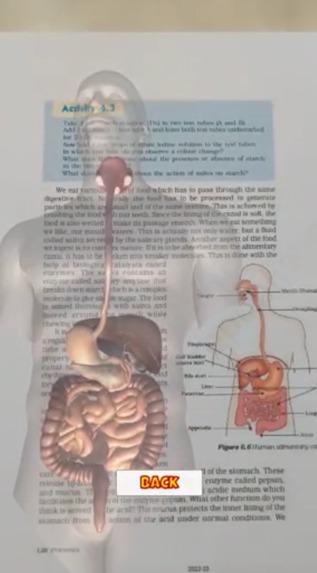 "AI & AR Learning: Personalized, Immersive, and Engaging"  – screenshot 12