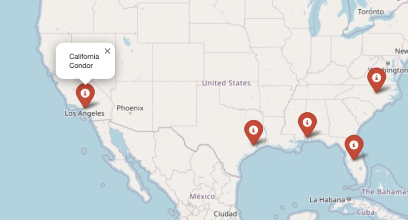 Bird Watcher – screenshot 1