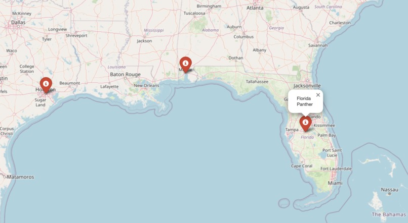 Bird Watcher – screenshot 2