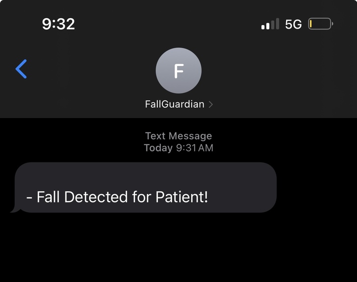 Fall Guardian  – screenshot 3