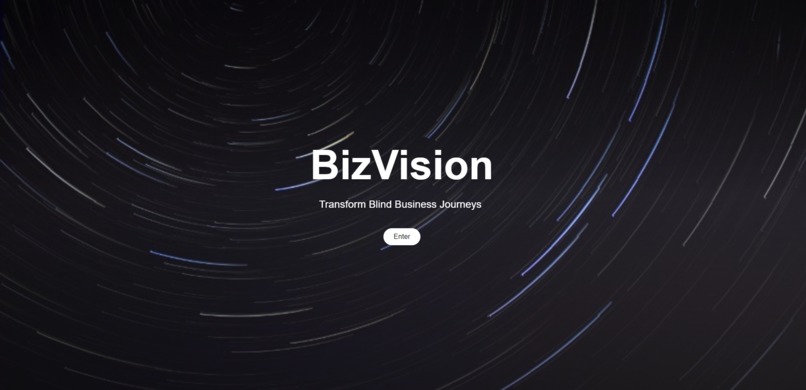 BizVision – screenshot 1