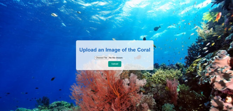 CoralGuard – screenshot 1