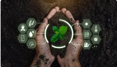    Team WomemCodeToGreen - AIWH081 – screenshot 1