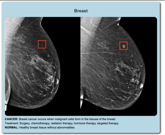 AI Powered MediKit – screenshot 2