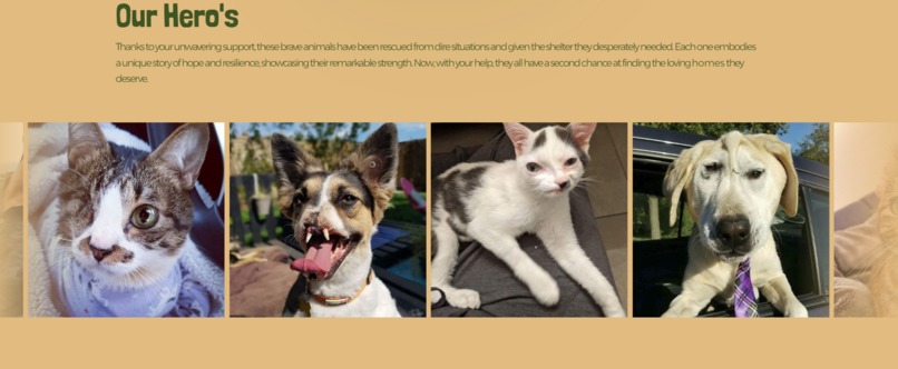 Paw-sitive – screenshot 4