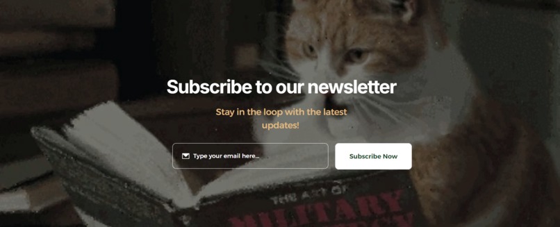 Paw-sitive – screenshot 5