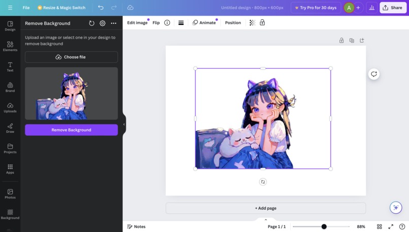 Remove Background – screenshot 2