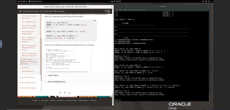 Oracle AI Vector Search – screenshot 1